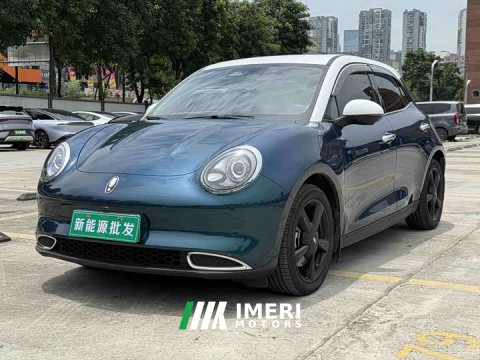2024 ORA Good Cat 501km Deluxe Edition - ავტომობილი ჩინეთიდან