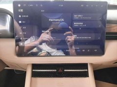 AITO M7 2024 1.5T Intelligent Driving RWD Pro 5-Seater - ფოტო 7