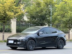Tesla Model Y Rear-Wheel Drive - ფოტო 1