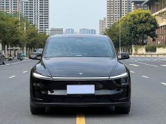 Tesla Model Y Rear-Wheel Drive - ფოტო 2