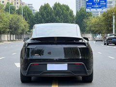 Tesla Model Y Rear-Wheel Drive - ფოტო 4