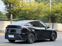 Tesla Model Y Rear-Wheel Drive - ფოტო 5
