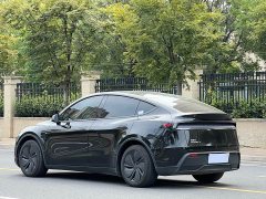 Tesla Model Y Rear-Wheel Drive - ფოტო 6