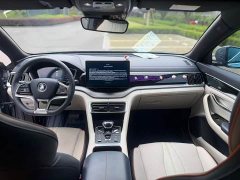 BYD Song Plus New Energy EV Premier - ფოტო 9