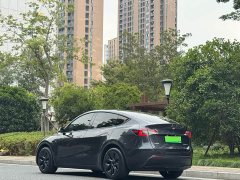 Tesla Model Y Rear-Wheel Drive - ფოტო 11