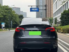 Tesla Model Y Rear-Wheel Drive - ფოტო 12