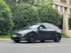 Tesla Model Y Rear-Wheel Drive - ფოტო 2