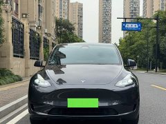 Tesla Model Y Rear-Wheel Drive - ფოტო 3