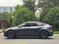 Tesla Model Y Rear-Wheel Drive - ფოტო 4