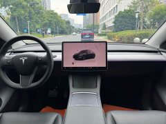 Tesla Model Y Rear-Wheel Drive - ფოტო 7