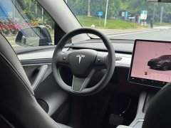Tesla Model Y Rear-Wheel Drive - ფოტო 8