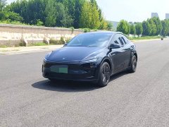 Tesla Model Y Rear-Wheel Drive - ფოტო 1