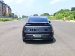 Tesla Model Y Rear-Wheel Drive - ფოტო 8