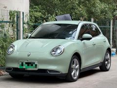 ORA Good Cat Morandi Edition 400km Standard Range Luxury Trim LFP - ფოტო 1