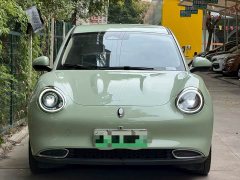 ORA Good Cat Morandi Edition 400km Standard Range Luxury Trim LFP - ფოტო 2
