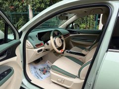 ORA Good Cat Morandi Edition 400km Standard Range Luxury Trim LFP - ფოტო 4