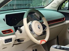 ORA Good Cat Morandi Edition 400km Standard Range Luxury Trim LFP - ფოტო 7