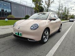 ORA Good Cat 401km Standard Range Deluxe LFP - ფოტო 1