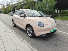 ORA Good Cat 401km Standard Range Deluxe LFP - ფოტო 2