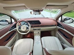 ORA Good Cat 401km Standard Range Deluxe LFP - ფოტო 5