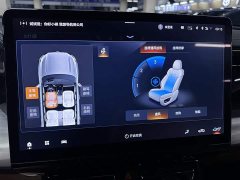 GAC Aion ES9 PHEV 143km Max - ფოტო 17