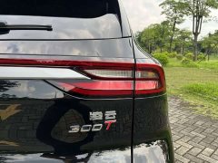 Changan Chitu Lingyun 300T Two-Wheel Drive Star Radiance Edition - ფოტო 9