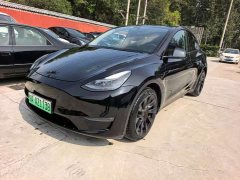 Tesla Model Y Standard Range RWD - ფოტო 1