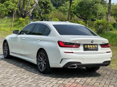 BMW 3 Series 320Li M Sport Package - ფოტო 12