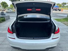 BMW 3 Series 320Li M Sport Package - ფოტო 16