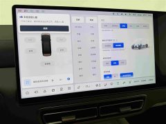 Li Auto Li Xiang MEGA Ultra - ფოტო 11