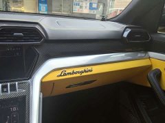 Lamborghini Urus 2021 4.0T V8 - ფოტო 17