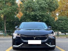 Voyah Lantu Zhaoguang 2023 Four-Wheel Drive Flagship - ფოტო 2