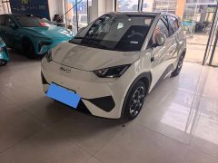 BYD Seagull 305km Freedom Edition - ფოტო 1