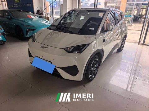 2025 BYD Seagull 305km Freedom Edition - ავტომობილი ჩინეთიდან