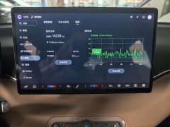 BYD Seagull 305km Freedom Edition - ფოტო 10
