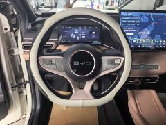 BYD Seagull 305km Freedom Edition - ფოტო 6
