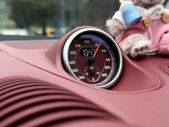 Porsche 718 2022 Boxster 2.0T - ფოტო 17