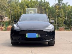 Tesla Model Y 2023 Rear-Wheel Drive - ფოტო 1
