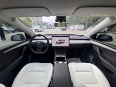Tesla Model Y 2023 Rear-Wheel Drive - ფოტო 4