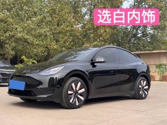 Tesla Model Y 2023 Rear-Wheel Drive - ფოტო 6