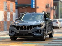 Voyah Lantu FREE 2021 Four-Wheel Drive Standard Extended Range Exclusive Luxury Package - ფოტო 1
