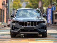 Voyah Lantu FREE 2021 Four-Wheel Drive Standard Extended Range Exclusive Luxury Package - ფოტო 2