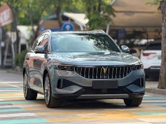 Voyah Lantu FREE 2021 Four-Wheel Drive Standard Extended Range Exclusive Luxury Package - ფოტო 3