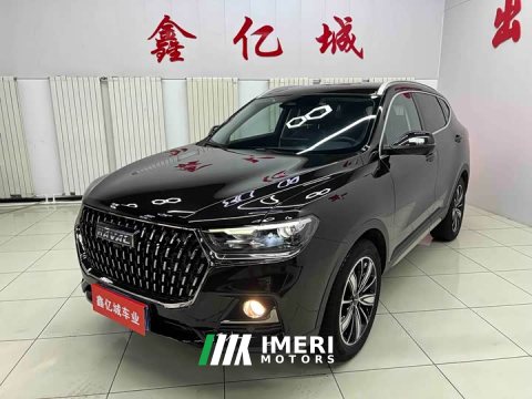 2023 Haval H6 National Trend Edition 1.5T Automatic Champion Version - ავტომობილი ჩინეთიდან