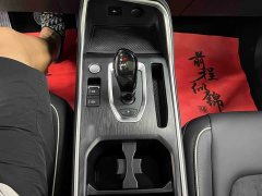 Haval H6 National Trend Edition 1.5T Automatic Champion Version - ფოტო 13