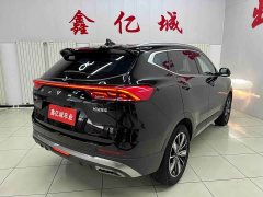 Haval H6 National Trend Edition 1.5T Automatic Champion Version - ფოტო 4