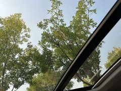 Audi Q3 35 TFSI Fashion Dynamic - ფოტო 12