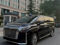 Great Wall WEY Shanshan New Energy Four-Wheel Drive Shanshan 8 - ფოტო 1