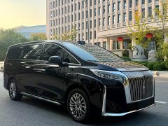 Great Wall WEY Shanshan New Energy Four-Wheel Drive Shanshan 8 - ფოტო 3