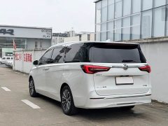 Buick GL8 ES Land Respect 653T Luxury - ფოტო 10